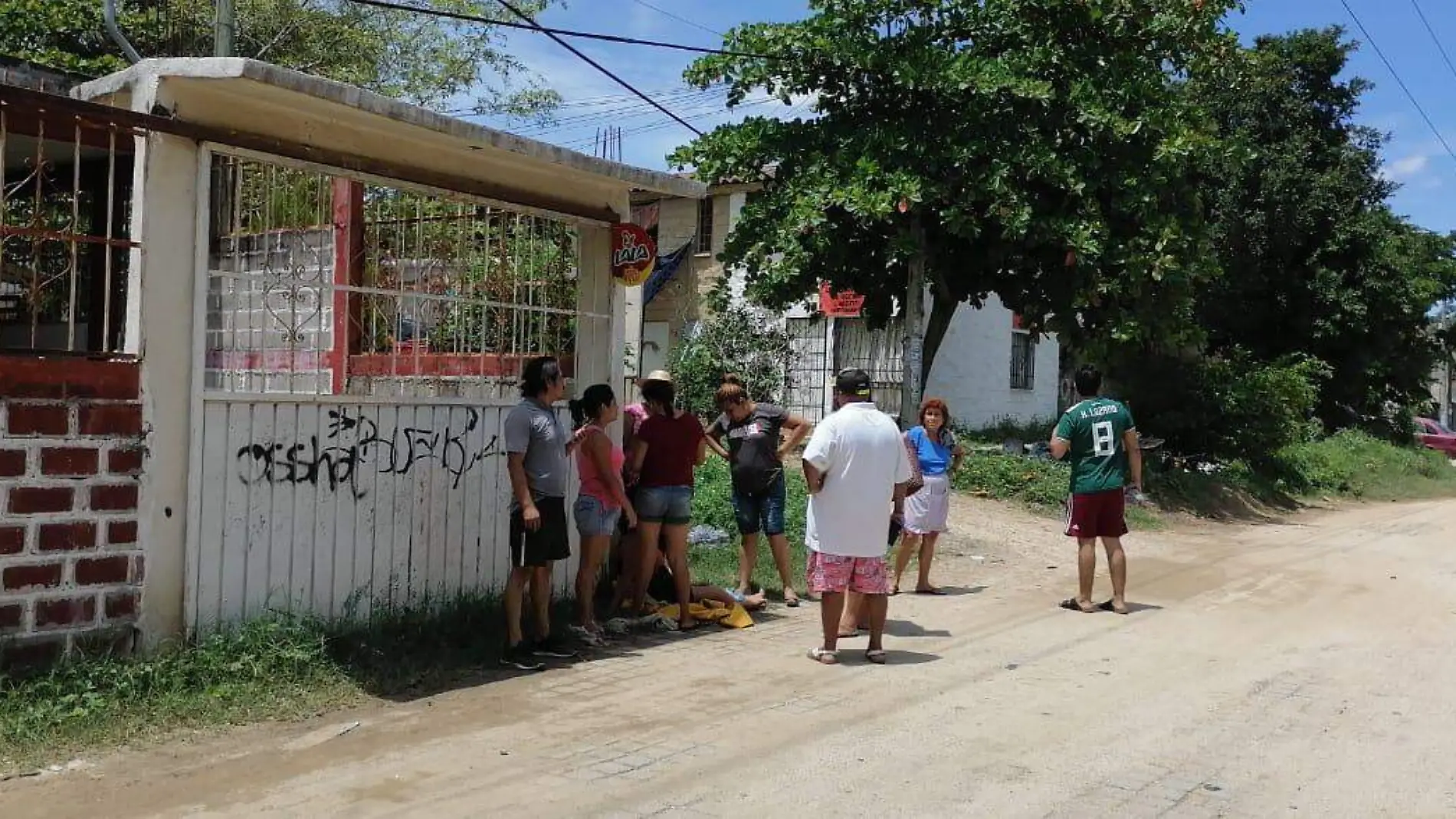 atacados por abejas